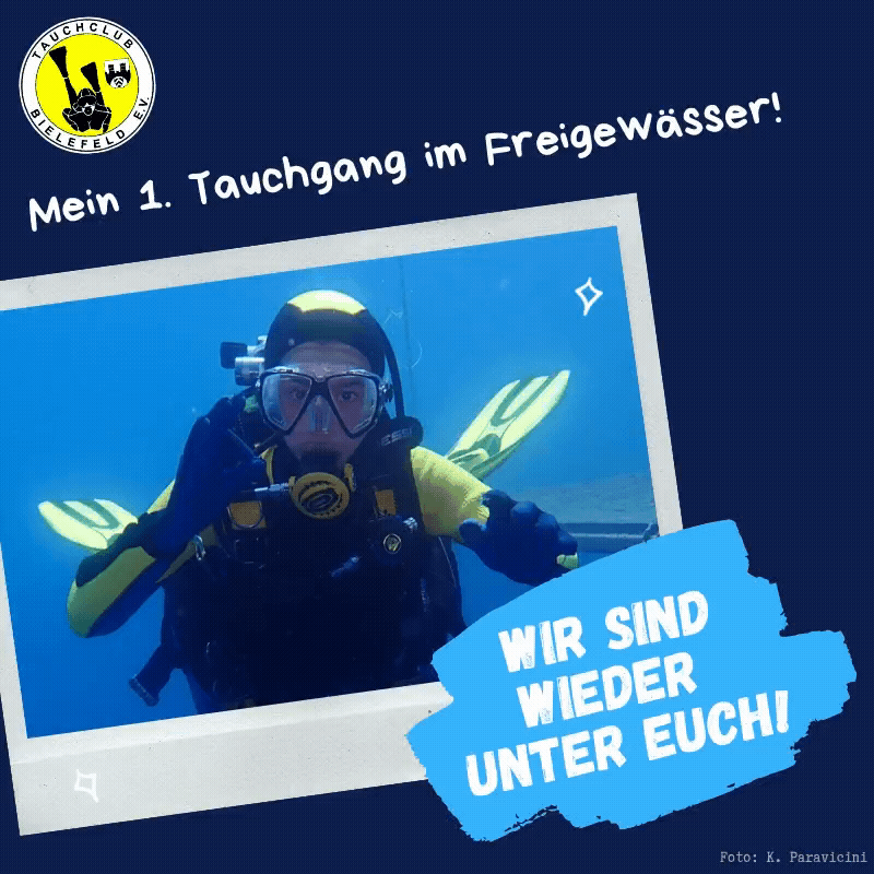 Tauchausbildung nach dem Lockdown!
